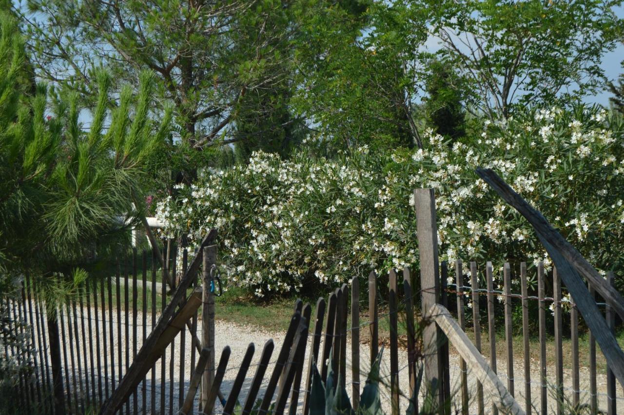 Bergerie D'Alivon En Camargue Bed & Breakfast Albaron Ngoại thất bức ảnh
